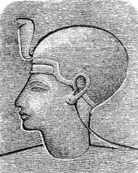 HEAD OF HER-HOR.