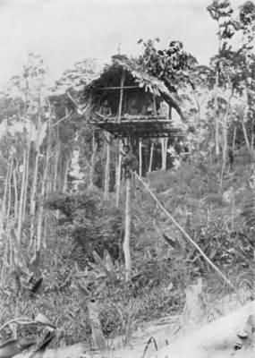 Tree hut, Ulu Batu, about twelve miles from Kuala Lumpur, Selangor (from Skeat and Blagden's "Pagan Races of the Malay Peninsula")