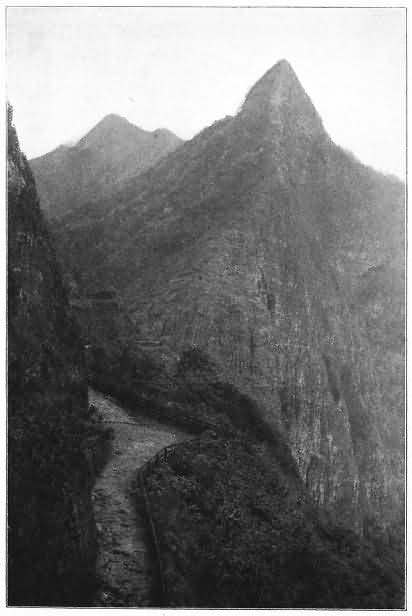 Scene in Olokele Gulch, Makaweli, Kauai