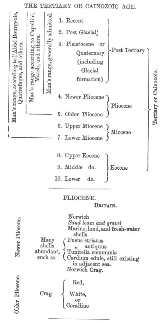 THE TERTIARY OR CAINOZOIC AGE