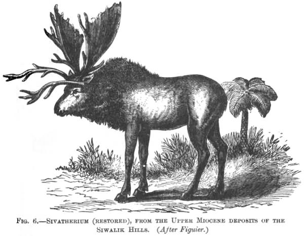 SIVATHERIUM