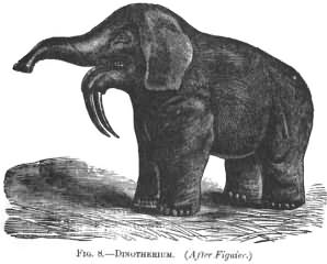 DINOTHERIUM