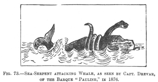 SEA-SERPENT ATTACKING WHALE