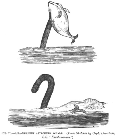 SEA-SERPENT ATTACHING WHALE