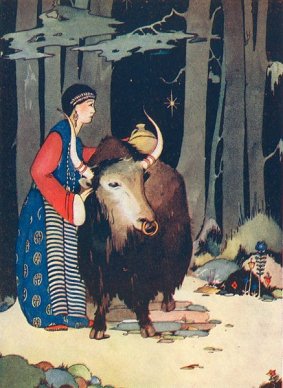 A beautiful girl herding a yak