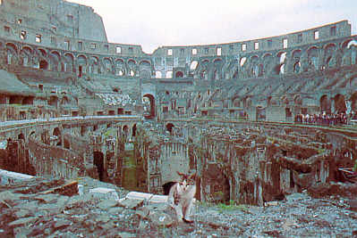 Ruines du Colise