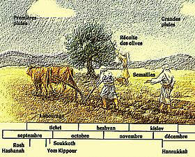 Calendrier agricole du peuple juif